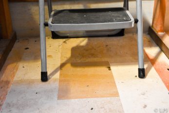 37175411706_4b6ee4412d_b