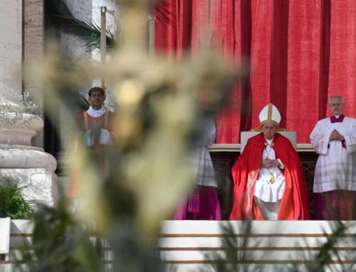 Pope Francis on Palm Sunday: “Jesus entered Jerusalem as a humble king”
