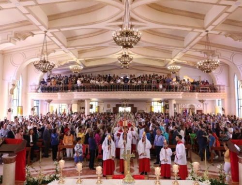 Jordan’s Churches mark Palm Sunday: ‘May the weapons fall silent, and let the language of peace be spoken’