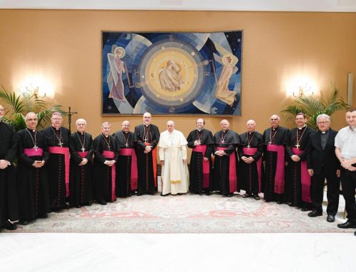 The Pope to the bishops of the Arab regions: be signs of hope