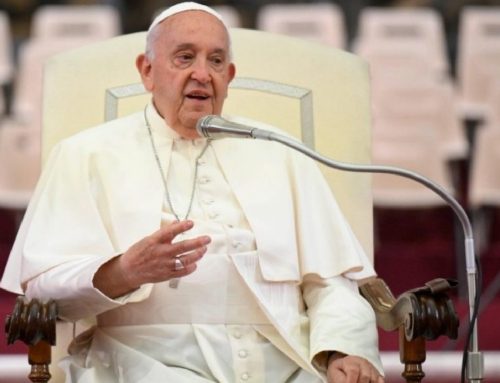 Pope Francis sparks debate with call to investigate Gaza genocide allegations