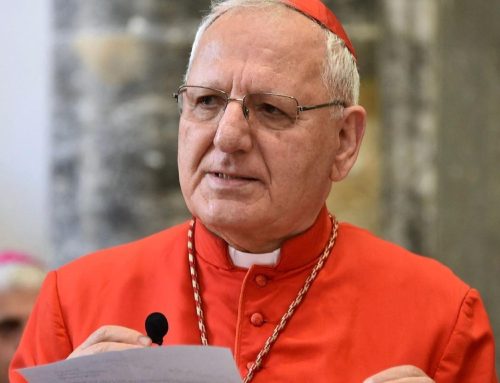 Cardinal Sako: ‘Working together is a sign of the unity Churches already share’