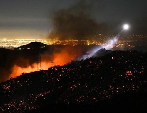 Pope prays for those affected by fires in LA, asks for prayers for peace