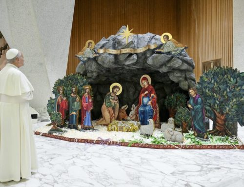Christmas creche, tree are signs of hope, pope says
