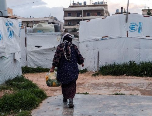 Aid convoy arrives in of Ain al-Arab amid humanitarian concern