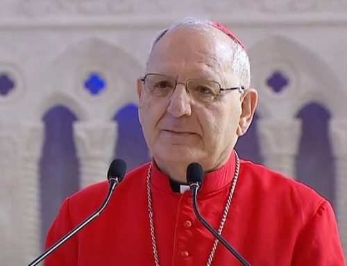 Patriarch of Chaldean Catholic Church Sako calls for peace