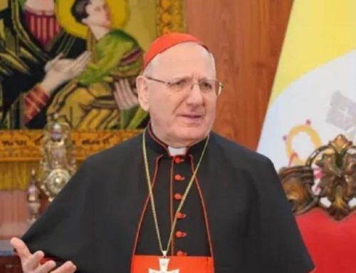 Cardinal Sako addresses the consistory, the situation of Christians in Iraq